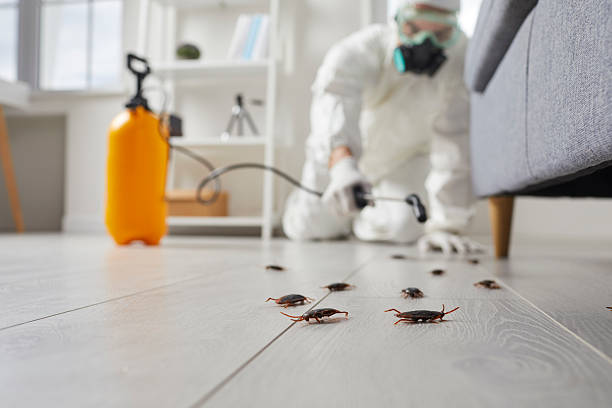 Trusted Fumigation Services service in Barnhart, MO - Nex Pest Control